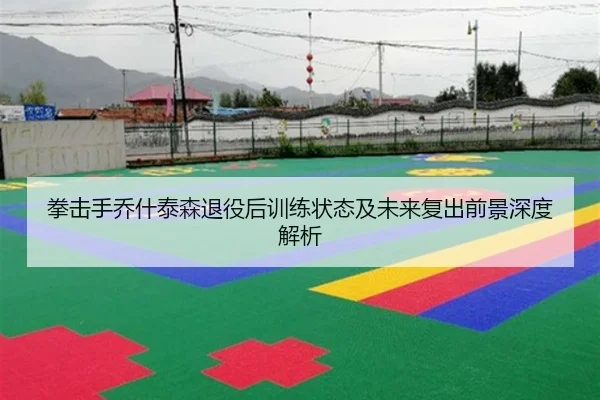 拳击手乔什泰森退役后训练状态及未来复出前景深度解析 | IM SPORTS